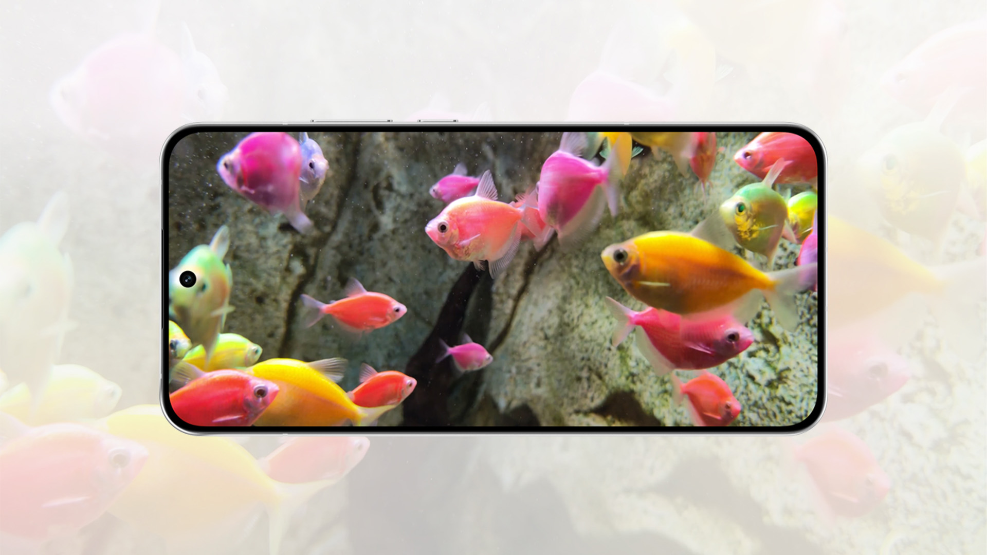 Fotografía subacuática