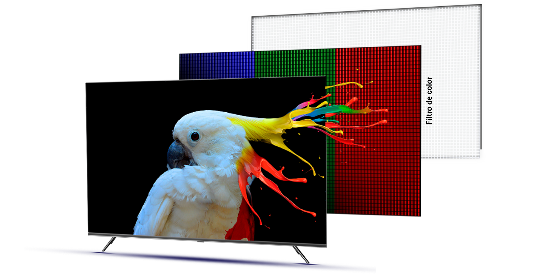 Inmerso en los colores