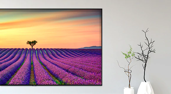 Televisor QLED, Samsung UHD, 4K, Q60R